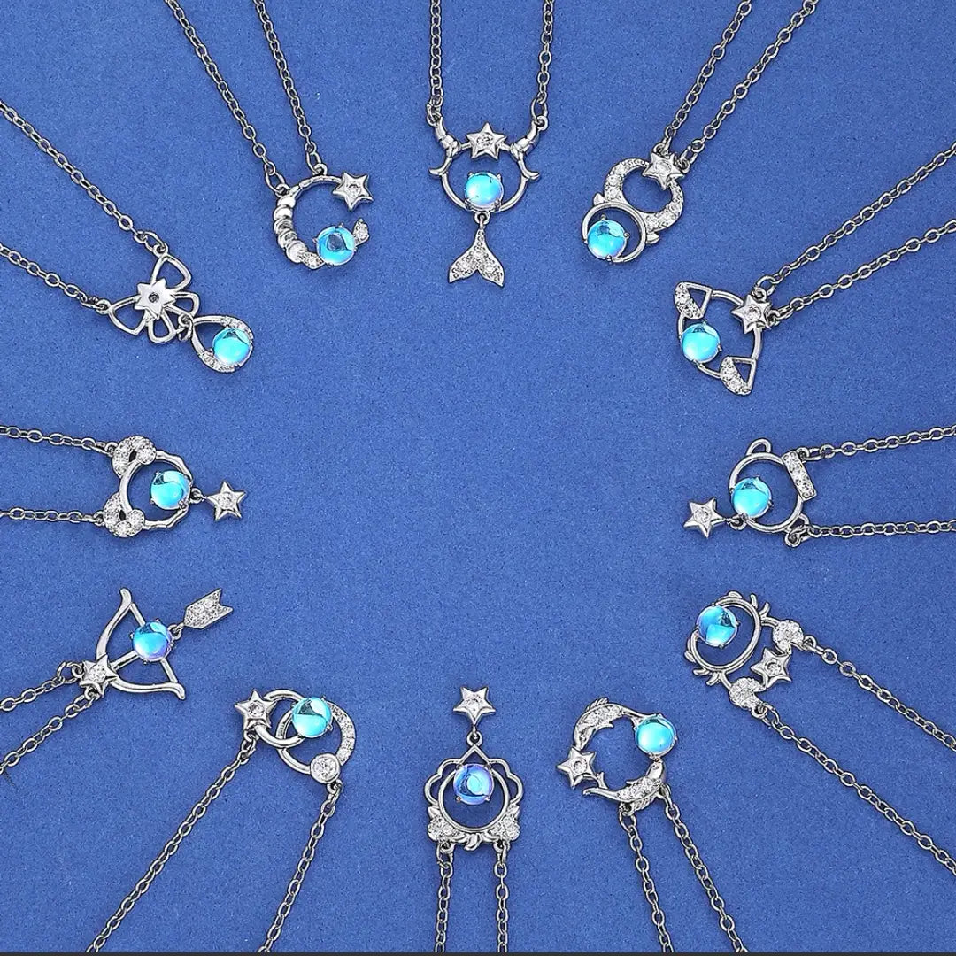The Twelve Zodiac Signs Necklace